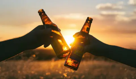 Factsheet E-mental Health gericht op alcoholproblematiek